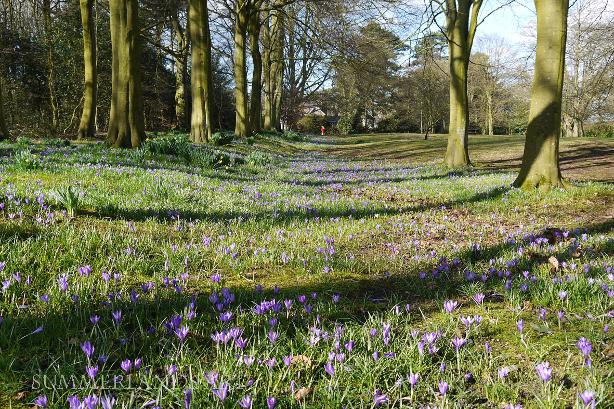 Photo near Rufford, Lancashire