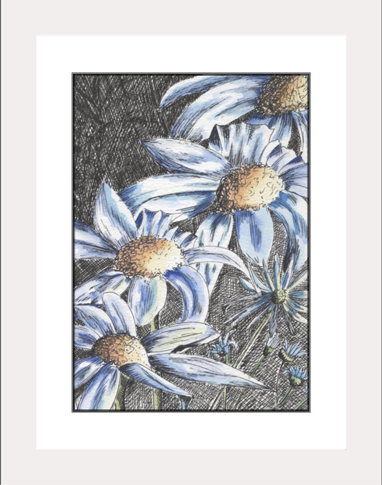 Daisy Blue white frame