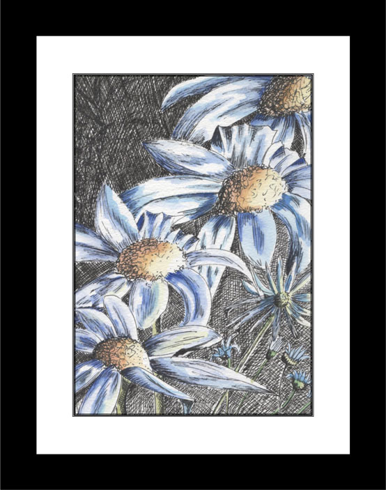 Daisy Blue black frame
