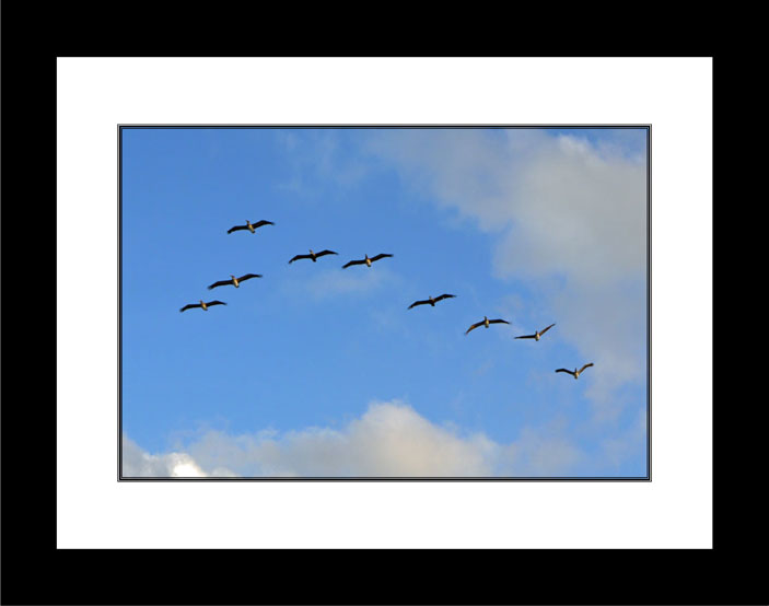 Follow the leader blcak frame