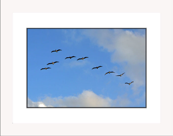 Follow the leader white frame