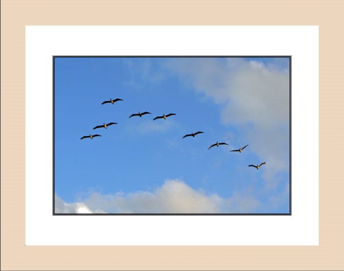 Follow the leader wood frame