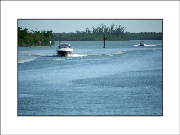 Naples Bay mount