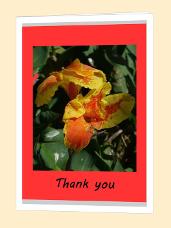 Yellow flowers with Thank you