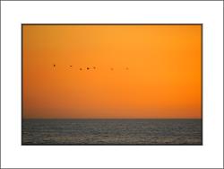 Orange sky mount