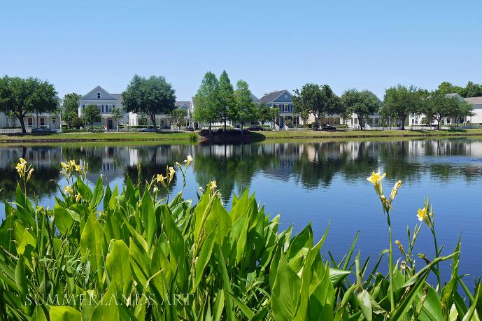 Photo of Celebration, Florida