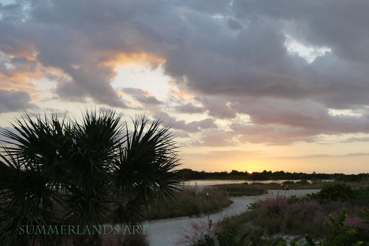 Dramatic Florida sky