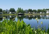 Photo of Celebration, Florida