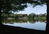 Photo of Celebration, Florida