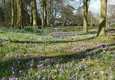 Photo near Rufford, Lancashire