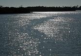 Photo of Naples Bay, Florida