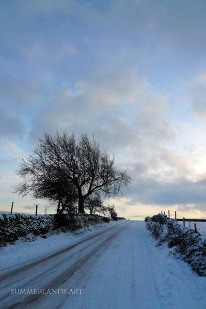 A snowy road in Yorkshire