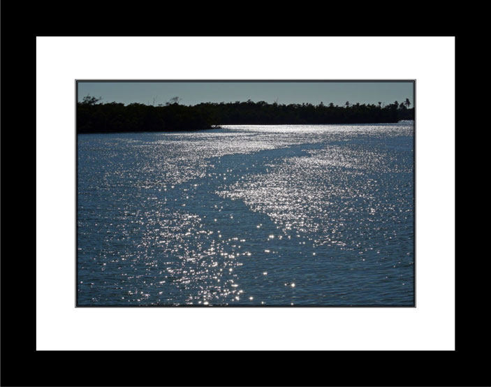 Sparkling Waters black frame