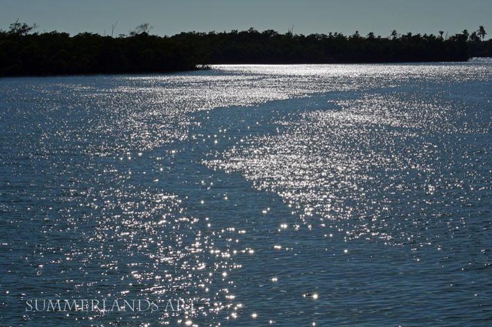 Sparkling waters in Naples, Florida