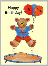 Teddy 3 with border