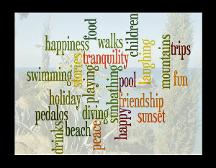 Words and Images Format 4