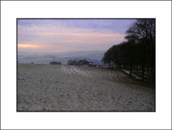 Winter Tracks unframed